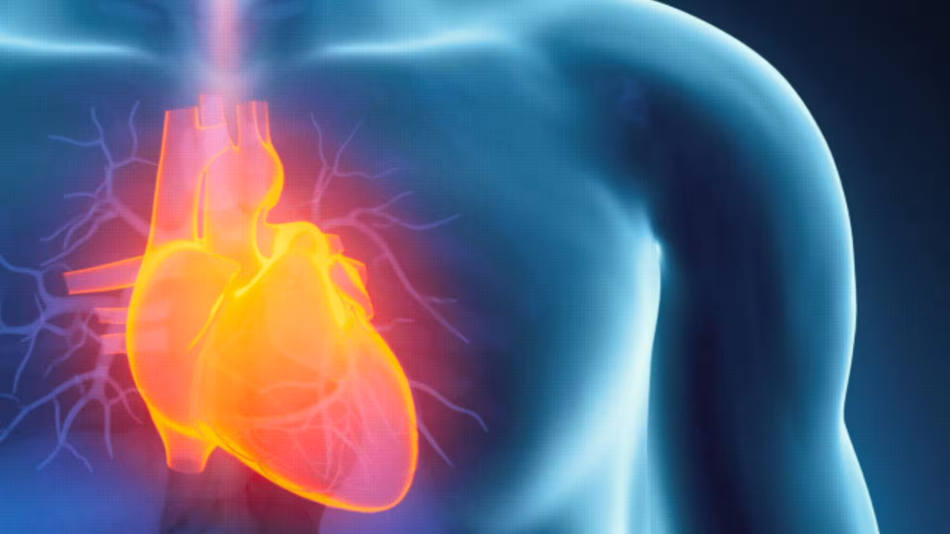 Regular Physical Activity Improves Heart Health